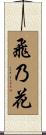 飛乃花 Scroll