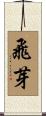 飛芽 Scroll