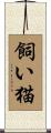 飼い猫 Scroll