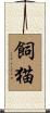 飼猫 Scroll