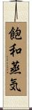 飽和蒸気 Scroll
