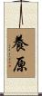 養原 Scroll