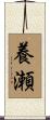 養瀬 Scroll