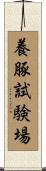 養豚試験場 Scroll