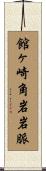 館ヶ崎角岩岩脈 Scroll
