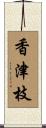 香津枝 Scroll