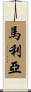 馬利亞 Scroll