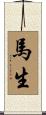 馬生 Scroll