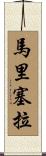 Maricela Scroll