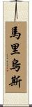 Marius Scroll