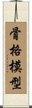 骨格模型 Scroll