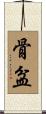 骨盆 Scroll