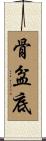 骨盆底 Scroll