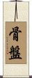骨盤 Scroll
