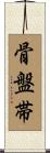 骨盤帯 Scroll