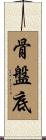 骨盤底 Scroll
