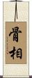 骨相 Scroll