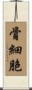 骨細胞 Scroll