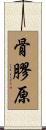 骨膠原 Scroll