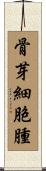 骨芽細胞腫 Scroll