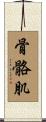骨骼肌 Scroll