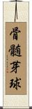 骨髄芽球 Scroll