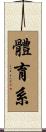 體育系 Scroll