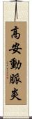 高安動脈炎 Scroll