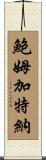 Baumgartner Scroll