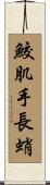 鮫肌手長蛸 Scroll