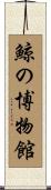 鯨の博物館 Scroll