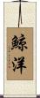 鯨洋 Scroll