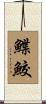 鰈鮫 Scroll