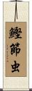 鰹節虫 Scroll