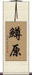 鱒原 Scroll
