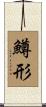 鱒形 Scroll