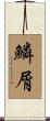 鱗屑 Scroll