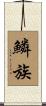 鱗族 Scroll