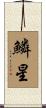 鱗星 Scroll