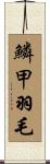 鱗甲羽毛 Scroll