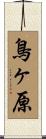 鳥ヶ原 Scroll