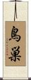 鳥巣 Scroll