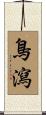 鳥瀉 Scroll