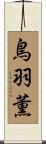 鳥羽薫 Scroll