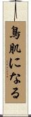 鳥肌になる Scroll