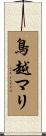 鳥越マリ Scroll