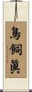 鳥飼眞 Scroll