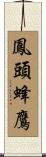 鳳頭蜂鷹 Scroll