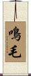 鳴毛 Scroll