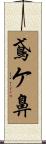 鳶ケ鼻 Scroll